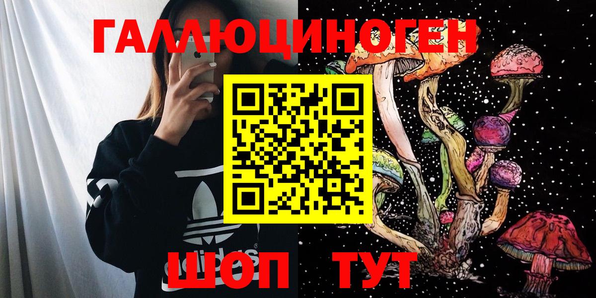 Псилоцибиновые грибы Cubensis  Вход с VPN  закладки  Каменск-Шахтинский 