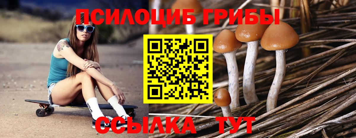 Галлюциногенные грибы Psilocybine cubensis Каменск-Шахтинский